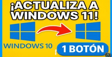 actualizar a windows 11 sin cumplir requisitos